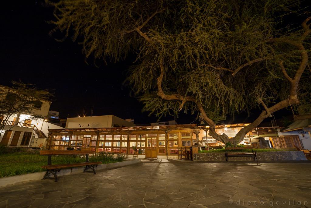 Hotel El Huarango إِكا المظهر الخارجي الصورة